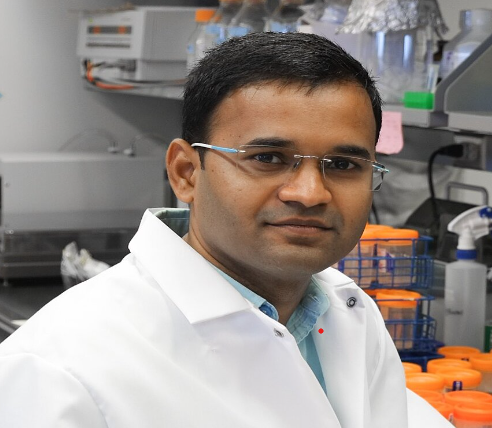 Dr. Shivasharanappa N