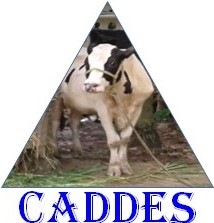 CaDDES