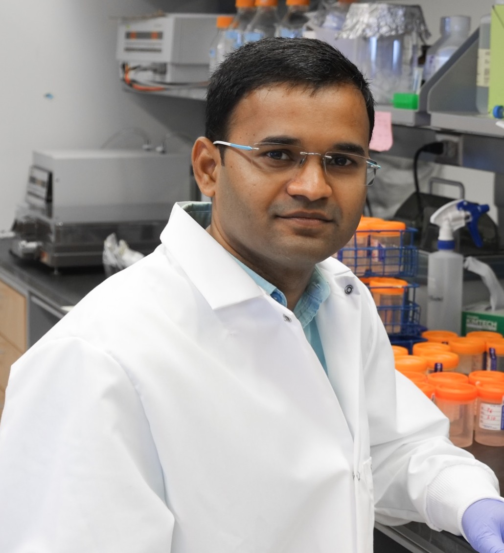 Dr. Shivasharanappa Nayakvadi