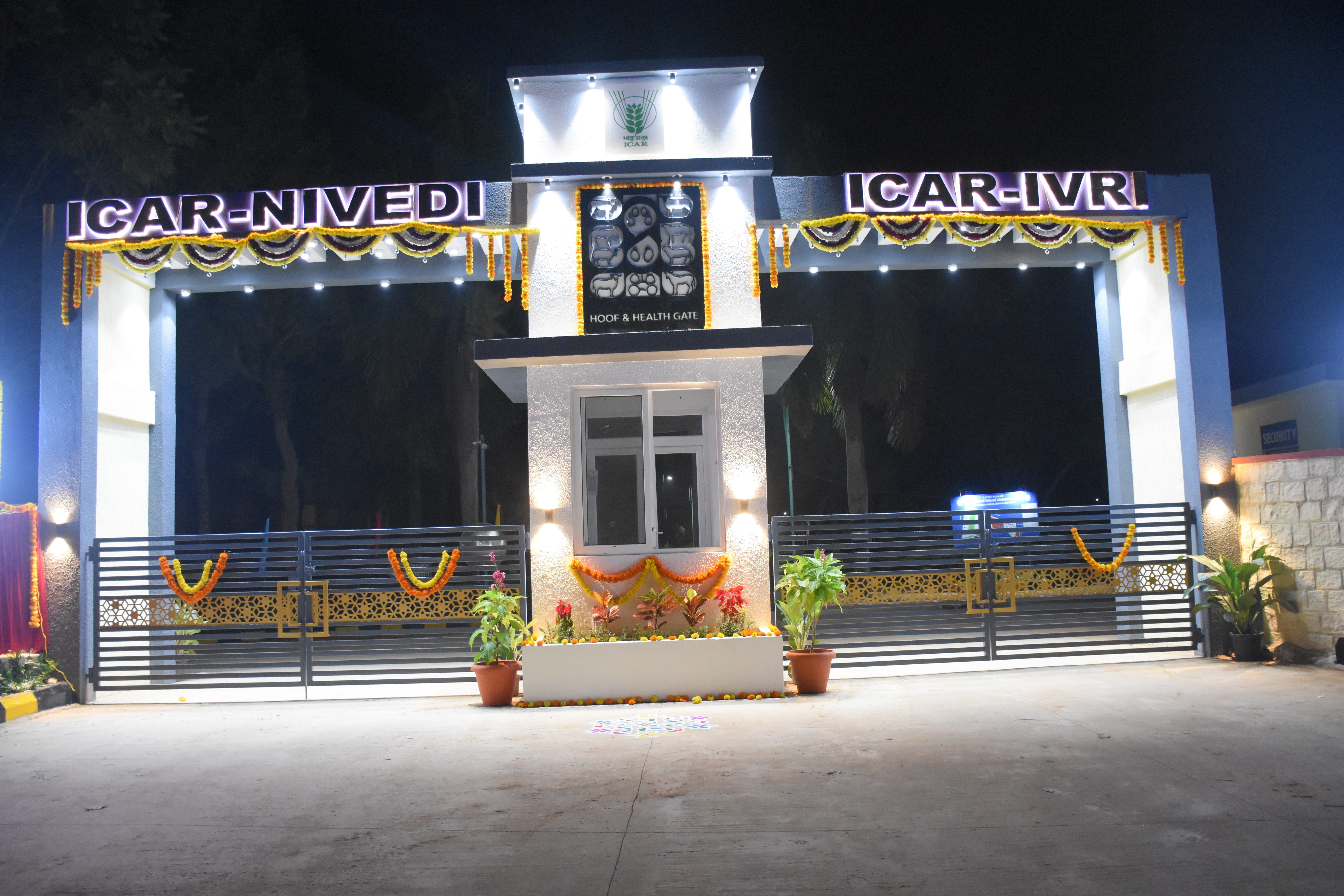 Celebration Image 2