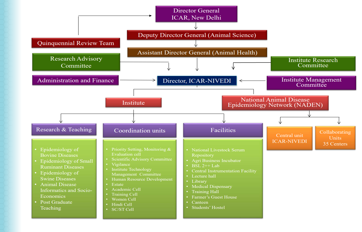 ICAR-NIVEDI Organizational Structure