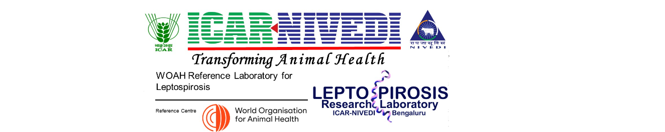 ICAR-NIVEDI Logo