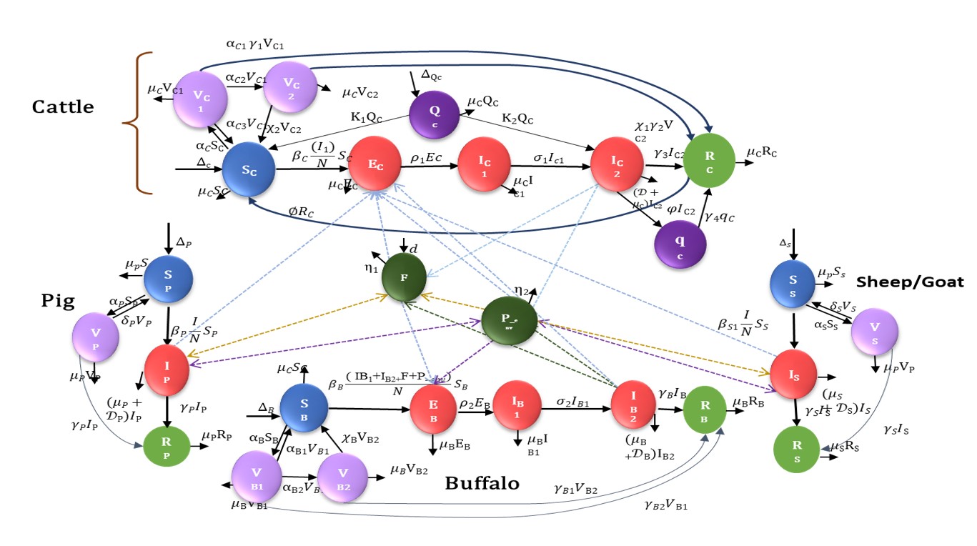 FMD Multi-Host Model Architecture