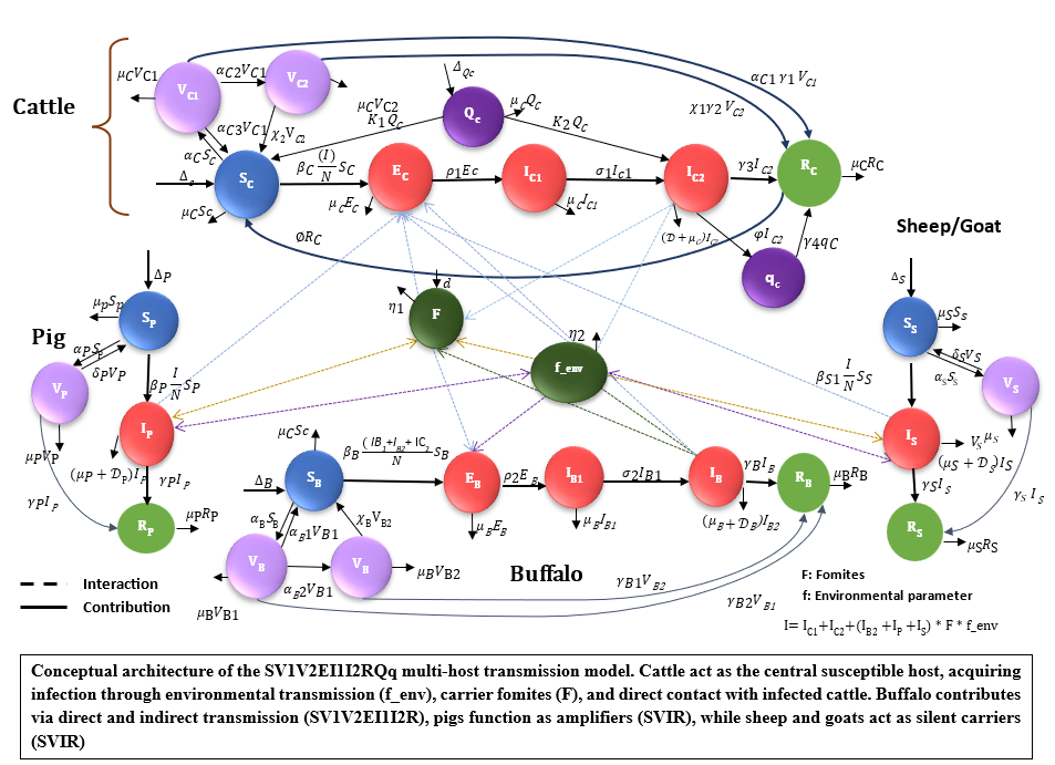 FMD Multi-Host Model Architecture