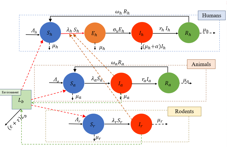 Leptospirosis Model Architecture