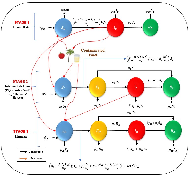 Nipah Model Architecture